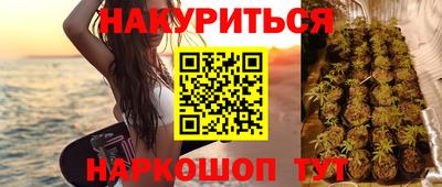 apvp Краснодар