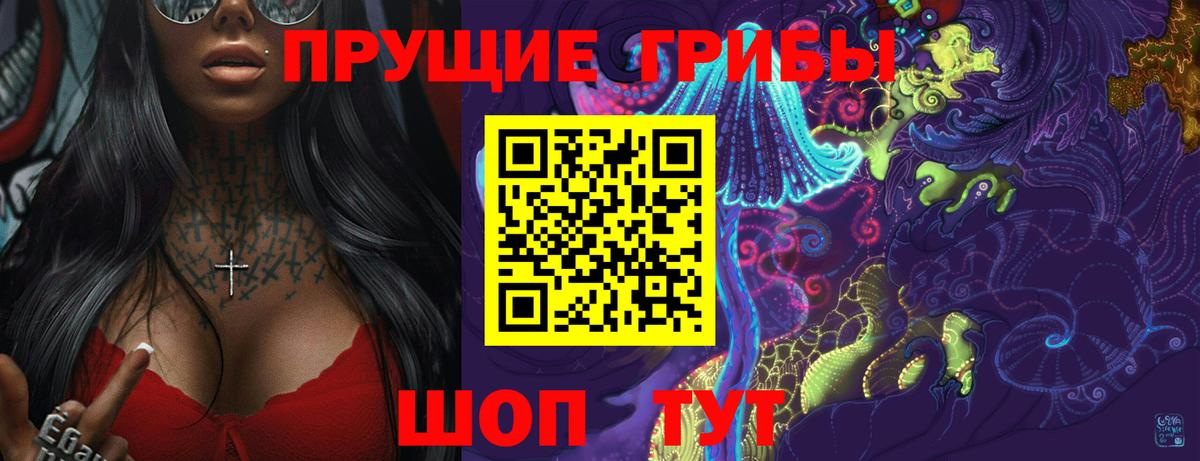 Псилоцибиновые грибы мицелий Дубна