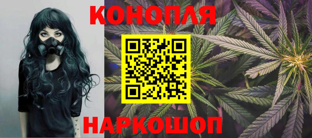Каннабис конопля Дубна